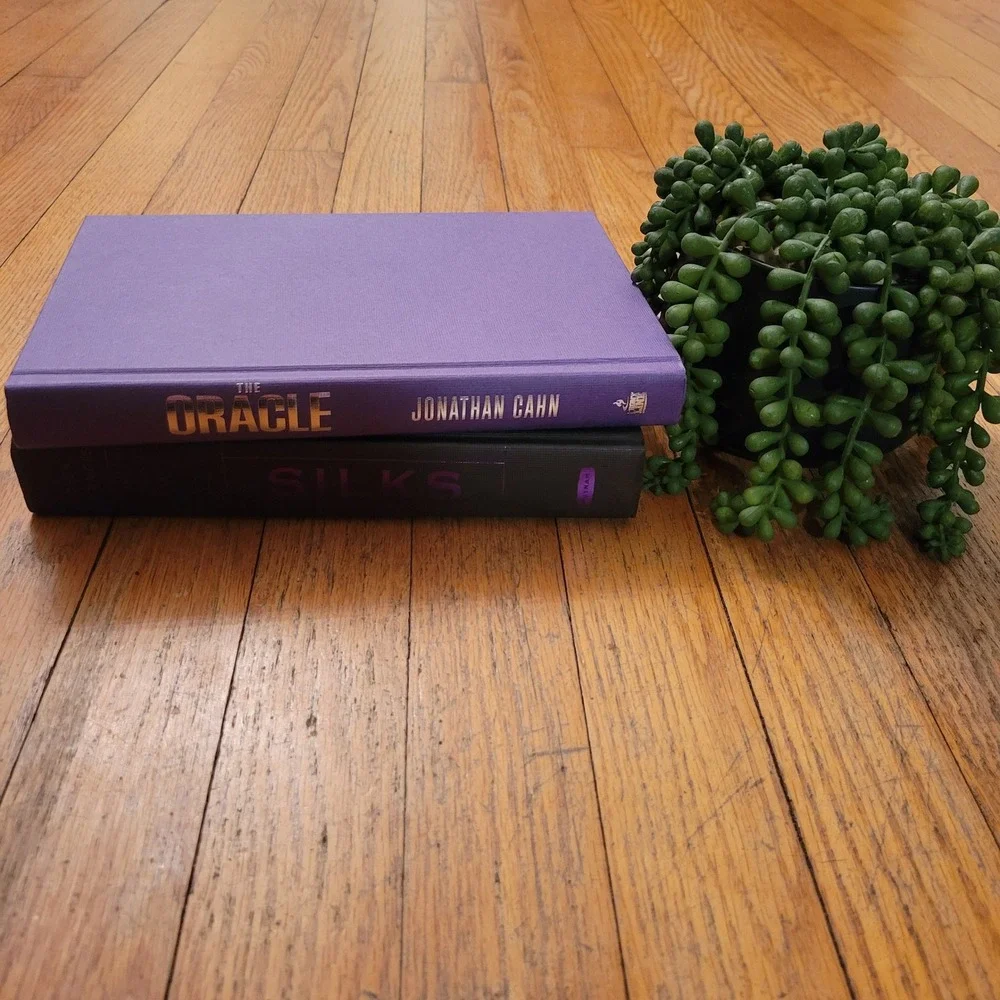 2 Home Decor Staging Books Hardcover Set Purple Silver Gray Black Modern Artsy‎